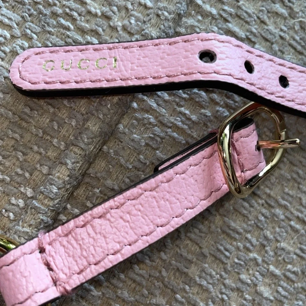 New Gucci dog leash/harness